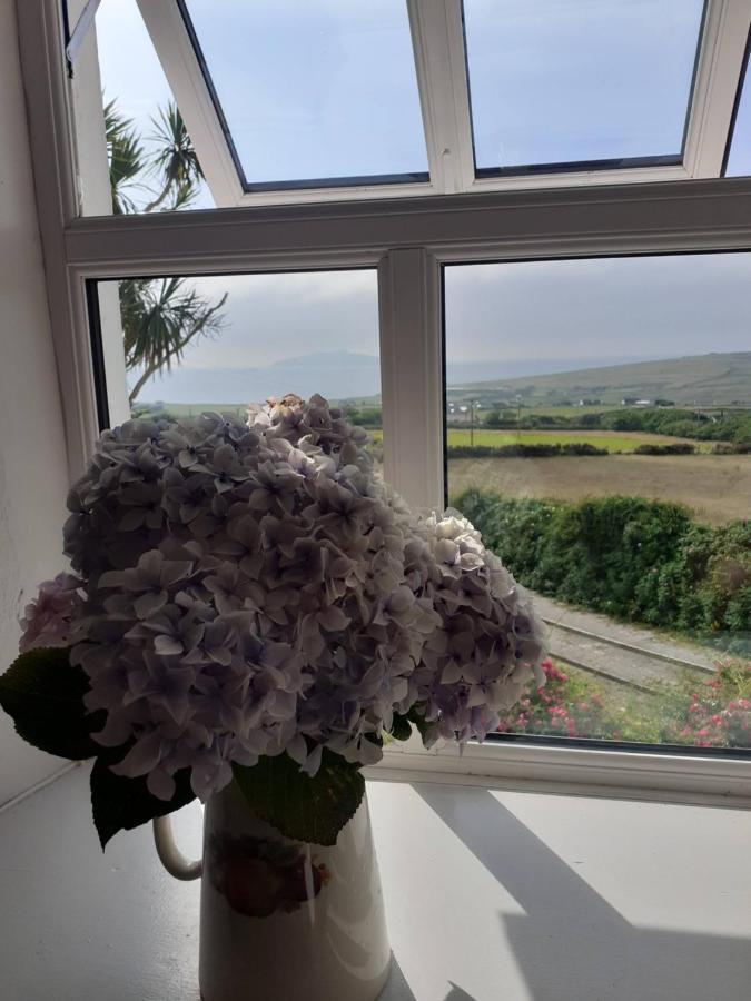 Gleann Loic Farmhouse Villa Dingle Exterior photo