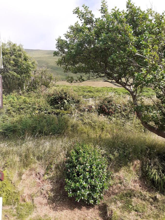 Gleann Loic Farmhouse Villa Dingle Exterior photo