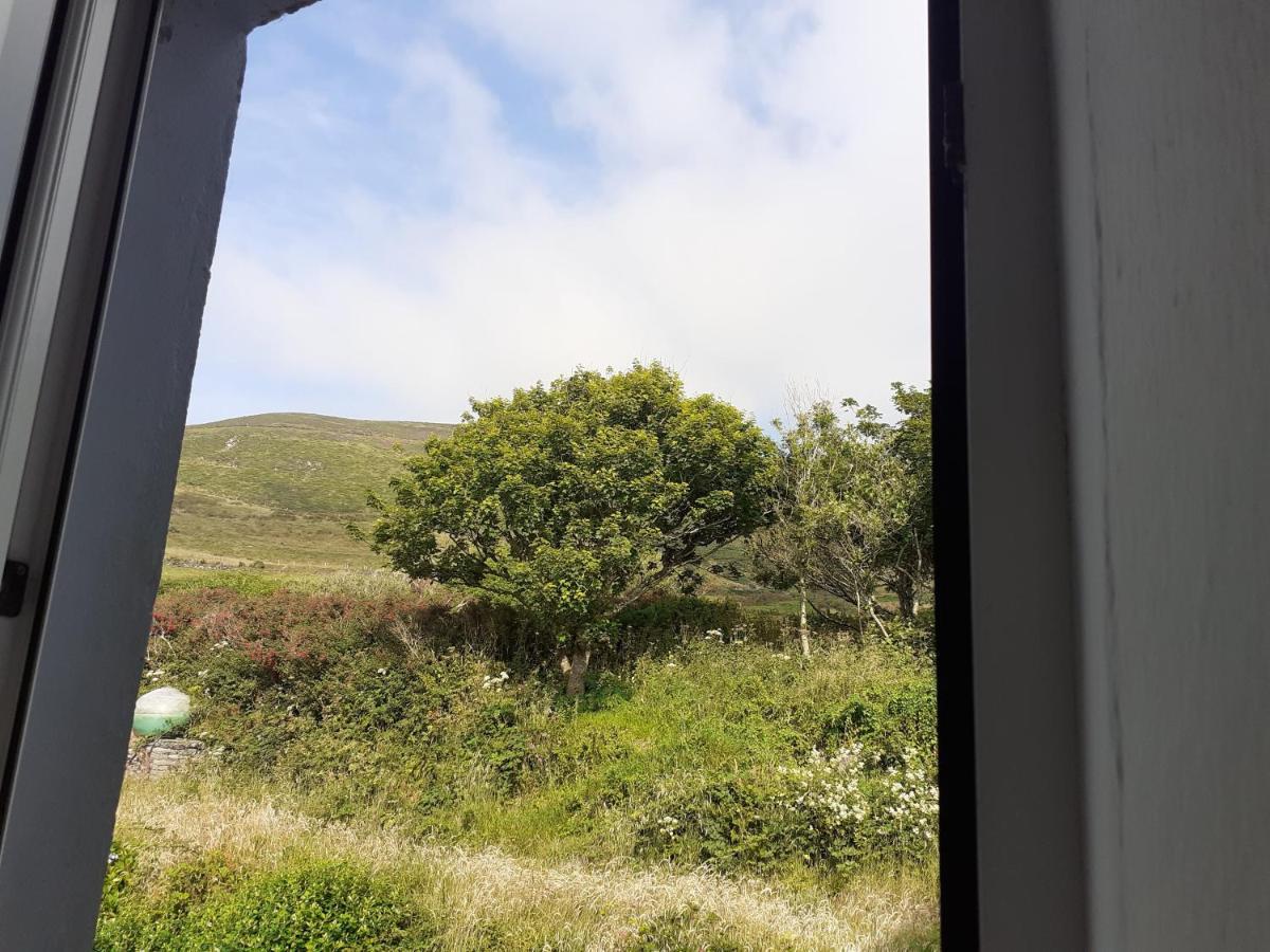 Gleann Loic Farmhouse Villa Dingle Exterior photo