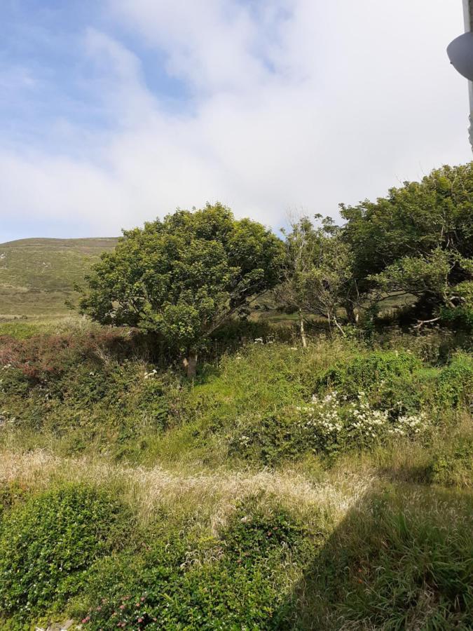 Gleann Loic Farmhouse Villa Dingle Exterior photo